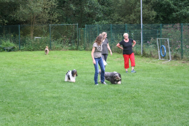 ../Images/Bild 020.jpg